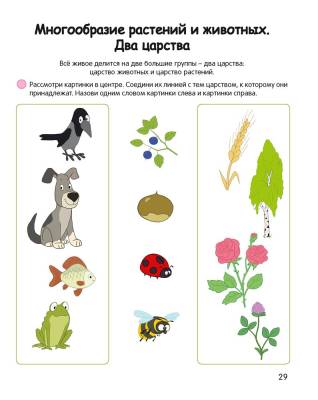 Купить книгу Аверсэв Умней-ка. 4-5 лет. Знакомство с природой в интернет-магазине Букваешка